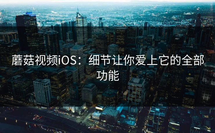 蘑菇视频iOS：细节让你爱上它的全部功能