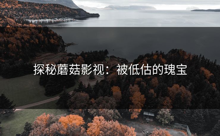 探秘蘑菇影视:被低估的瑰宝 探秘蘑菇影视:被低估的瑰宝